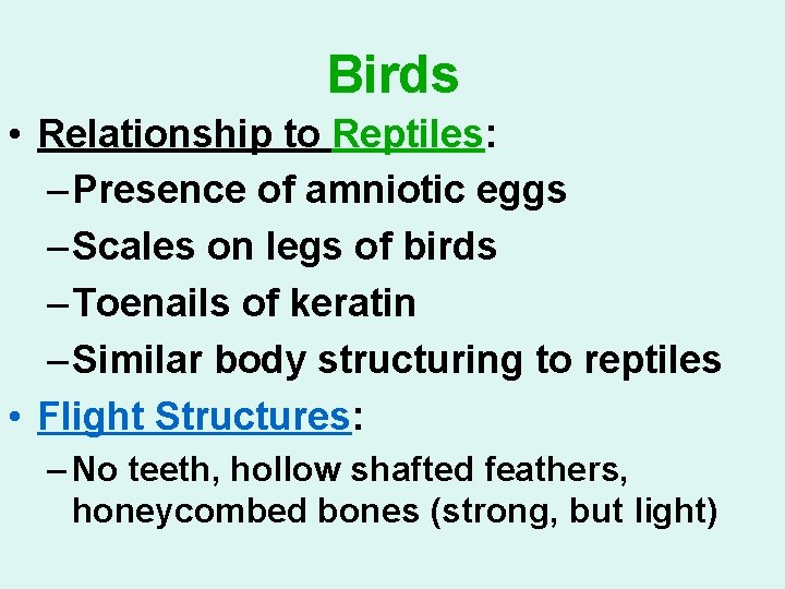 Birds • Relationship to Reptiles: – Presence of amniotic eggs – Scales on legs