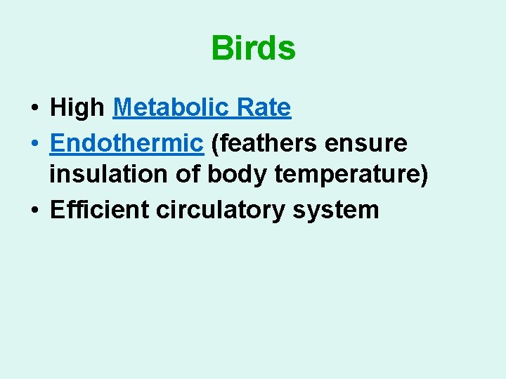 Birds • High Metabolic Rate • Endothermic (feathers ensure insulation of body temperature) •