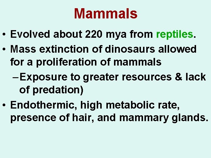 Mammals • Evolved about 220 mya from reptiles. • Mass extinction of dinosaurs allowed