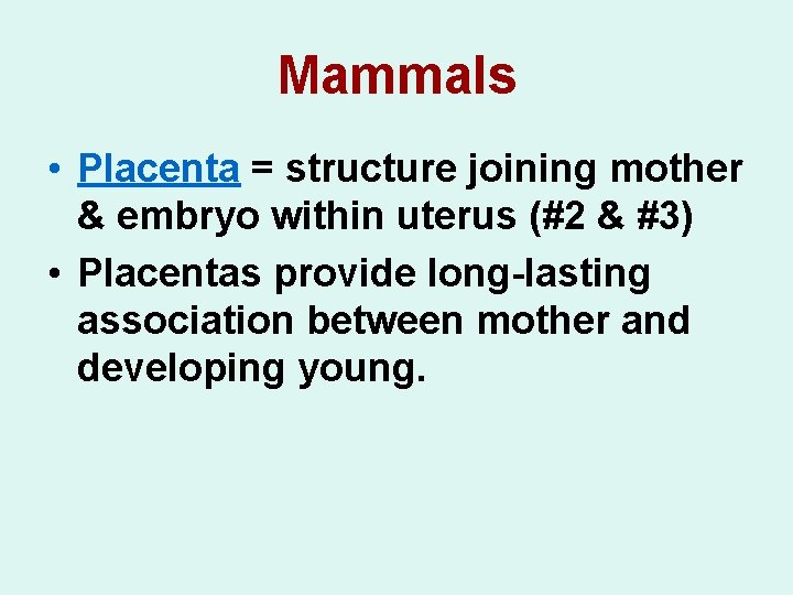 Mammals • Placenta = structure joining mother & embryo within uterus (#2 & #3)