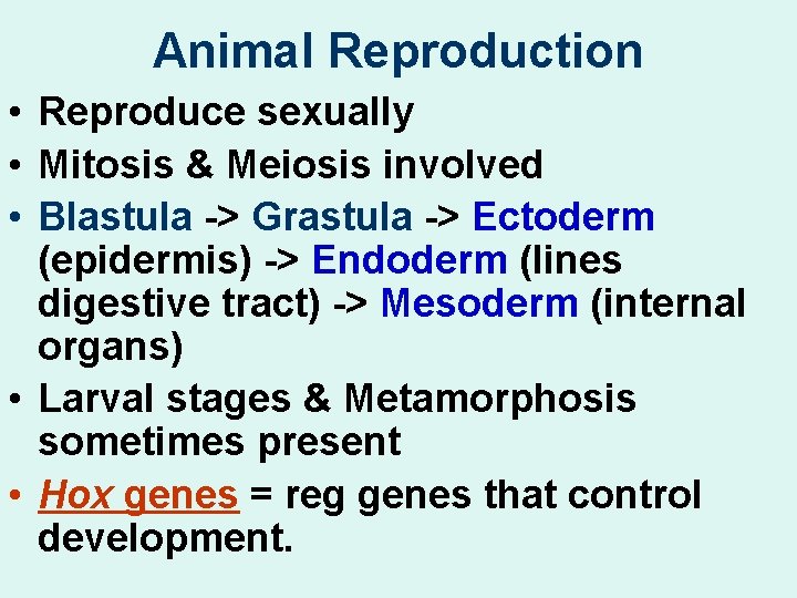 Animal Reproduction • Reproduce sexually • Mitosis & Meiosis involved • Blastula -> Grastula