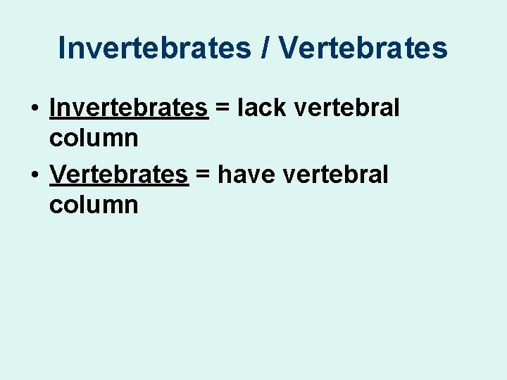 Invertebrates / Vertebrates • Invertebrates = lack vertebral column • Vertebrates = have vertebral