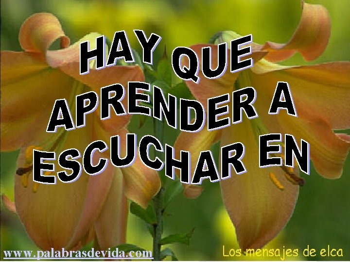 www. palabrasdevida. com 