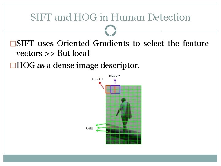 SIFT and HOG in Human Detection �SIFT uses Oriented Gradients to select the feature