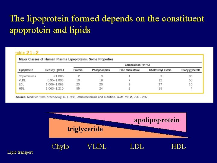 The lipoprotein formed depends on the constituent apoprotein and lipids apolipoprotein triglyceride Lipid transport