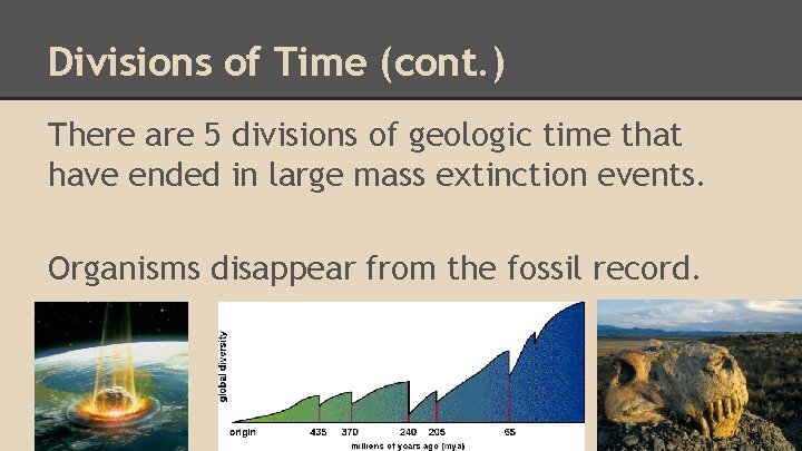 Divisions of Time (cont. ) There are 5 divisions of geologic time that have