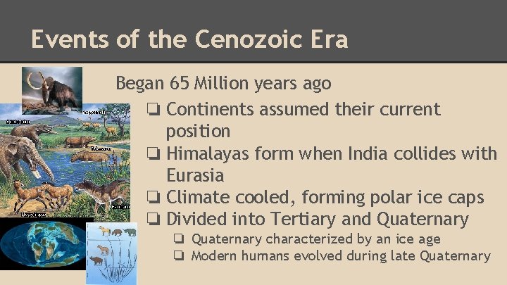 Events of the Cenozoic Era Began 65 Million years ago ❏ Continents assumed their