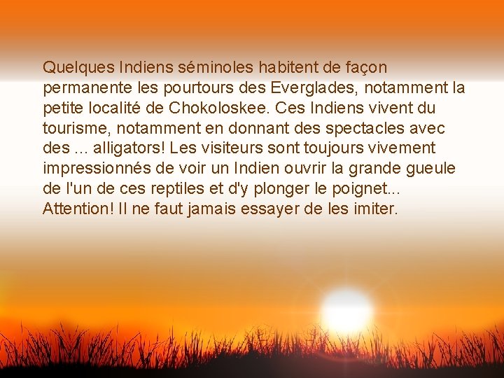 Quelques Indiens séminoles habitent de façon permanente les pourtours des Everglades, notamment la petite