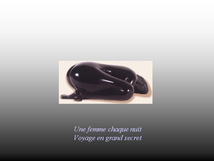 Une femme chaque nuit Voyage en grand secret 