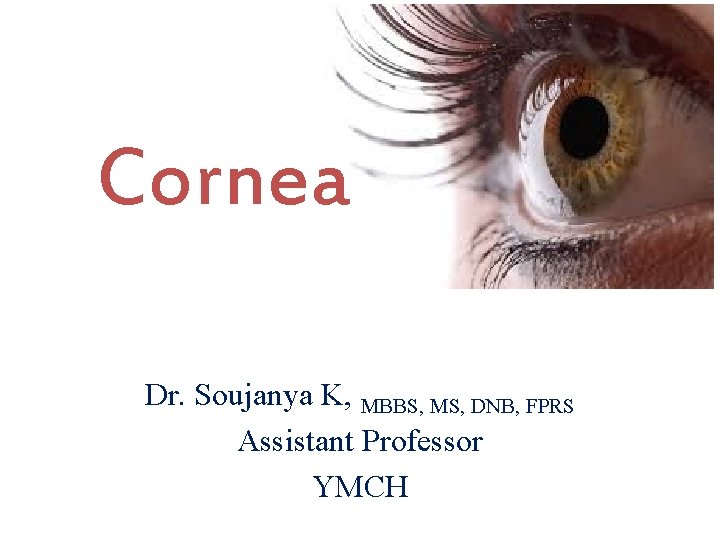 Cornea Dr. Soujanya K, MBBS, MS, DNB, FPRS Assistant Professor YMCH 