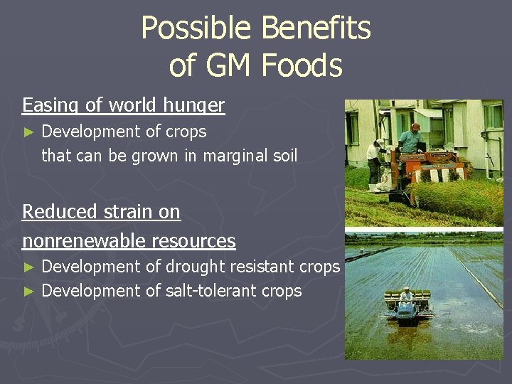 Possible Benefits of GM Foods Easing of world hunger ► Development of crops that