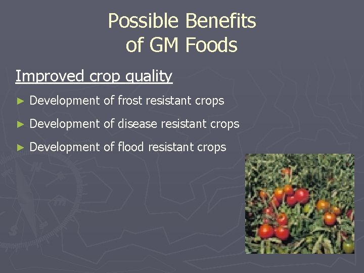 Possible Benefits of GM Foods Improved crop quality ► Development of frost resistant crops