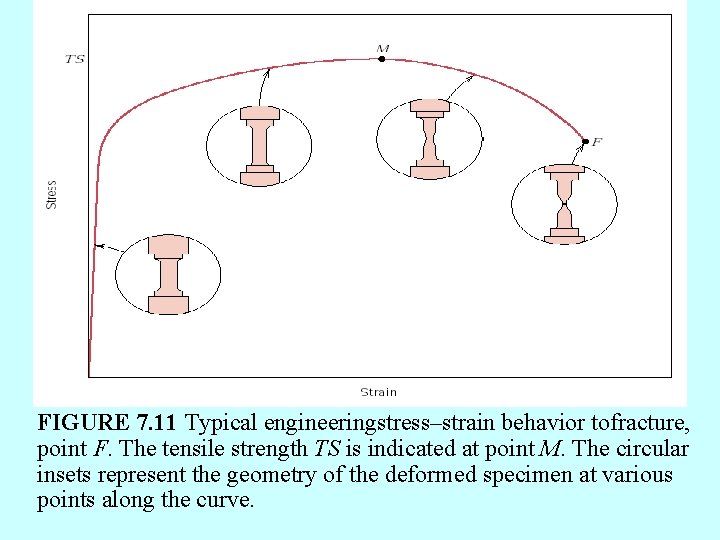 FIGURE 7. 11 Typical engineeringstress–strain behavior tofracture, point F. The tensile strength TS is