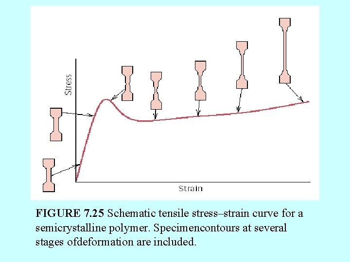 FIGURE 7. 25 Schematic tensile stress–strain curve for a semicrystalline polymer. Specimencontours at several