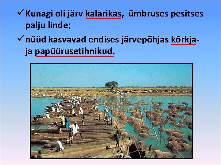 ü Kunagi oli järv kalarikas, ümbruses pesitses palju linde; ü nüüd kasvavad endises järvepõhjas