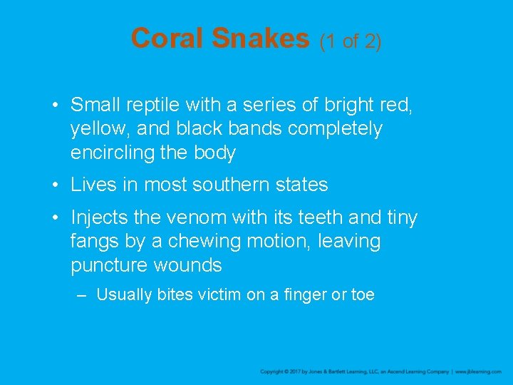 Coral Snakes (1 of 2) • Small reptile with a series of bright red,