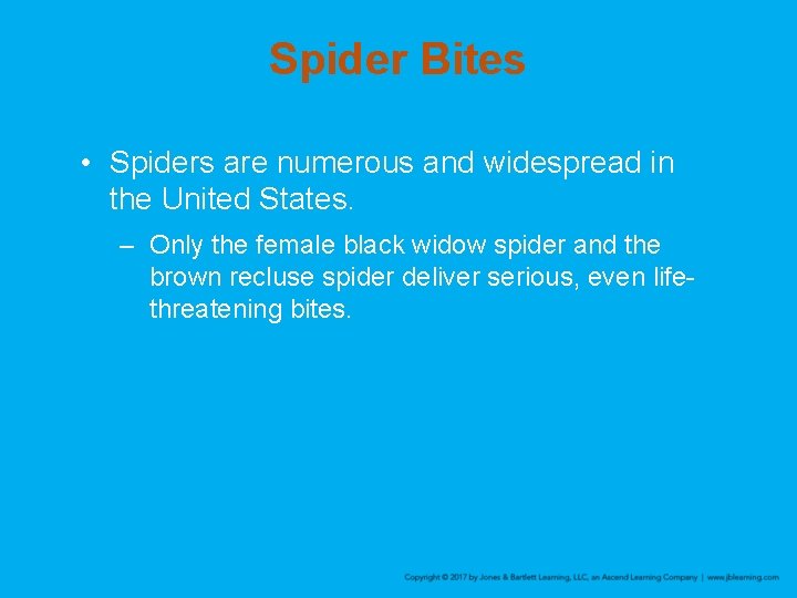 Spider Bites • Spiders are numerous and widespread in the United States. – Only