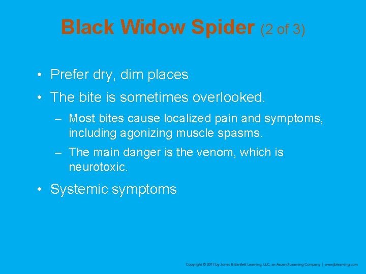 Black Widow Spider (2 of 3) • Prefer dry, dim places • The bite