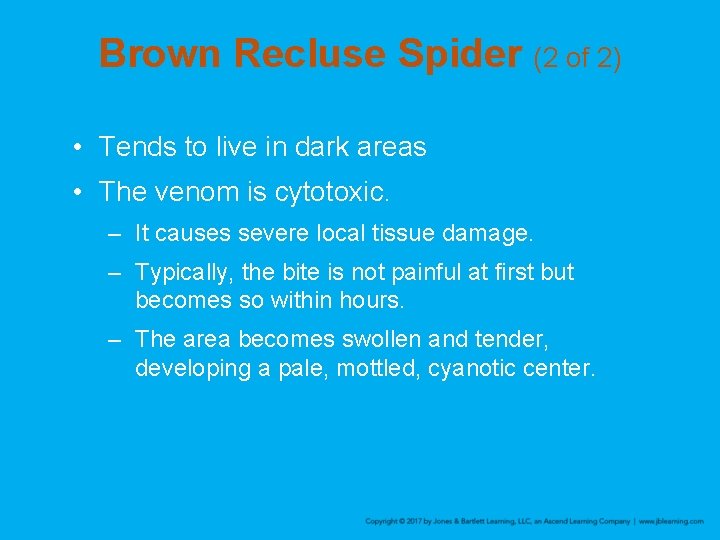 Brown Recluse Spider (2 of 2) • Tends to live in dark areas •