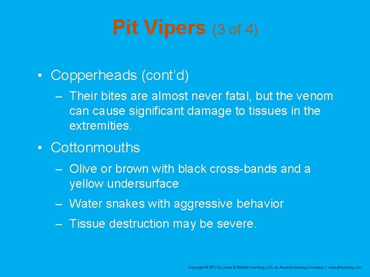 Pit Vipers (3 of 4) • Copperheads (cont’d) – Their bites are almost never