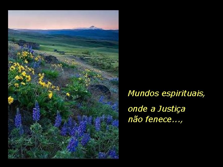 Mundos espirituais, onde a Justiça não fenece. . . , 