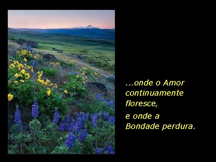 . . . onde o Amor continuamente floresce, e onde a Bondade perdura. 