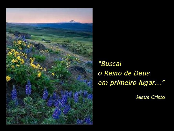 “Buscai o Reino de Deus em primeiro lugar. . . ” Jesus Cristo 