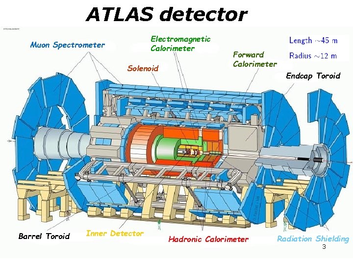 ATLAS detector Electromagnetic Calorimeter Muon Spectrometer Solenoid Barrel Toroid Inner Detector Forward Calorimeter Endcap