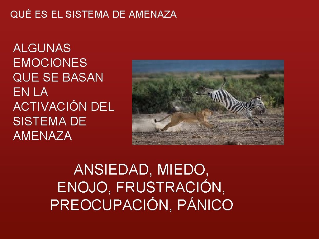 QUÉ ES EL SISTEMA DE AMENAZA ALGUNAS EMOCIONES QUE SE BASAN EN LA ACTIVACIÓN