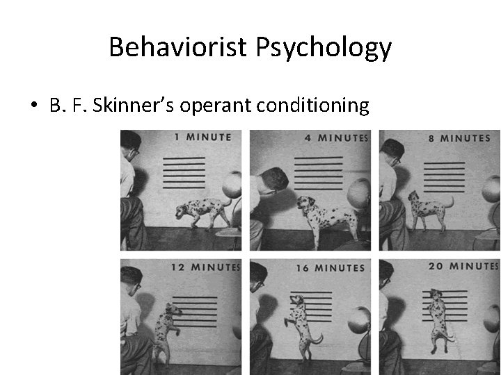 Behaviorist Psychology • B. F. Skinner’s operant conditioning R+ R- P+ P- 