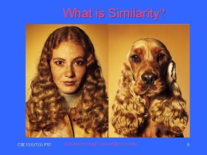 What is Similarity? CSE 5331/7331 F'07 (c) Eamonn Keogh, eamonn@cs. ucr. edu 8 