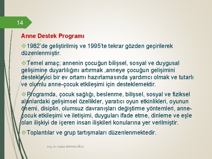 14 Anne Destek Programı 1982’de geliştirilmiş ve 1995’te tekrar gözden geçirilerek düzenlenmiştir. Temel amaç;