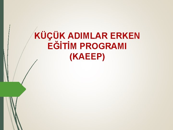 KÜÇÜK ADIMLAR ERKEN EĞİTİM PROGRAMI (KAEEP) 