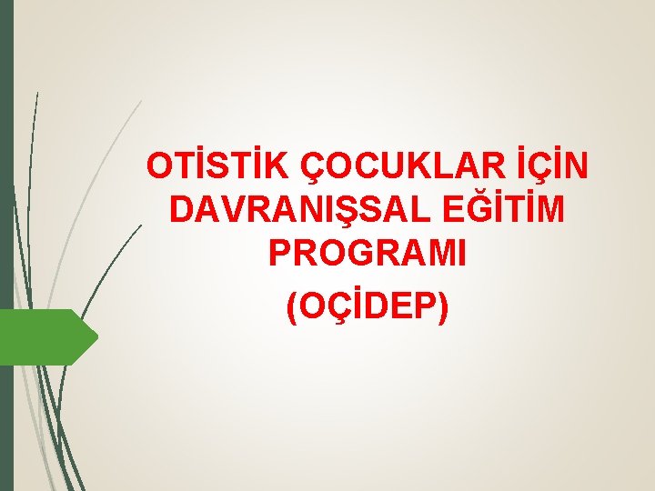 OTİSTİK ÇOCUKLAR İÇİN DAVRANIŞSAL EĞİTİM PROGRAMI (OÇİDEP) 