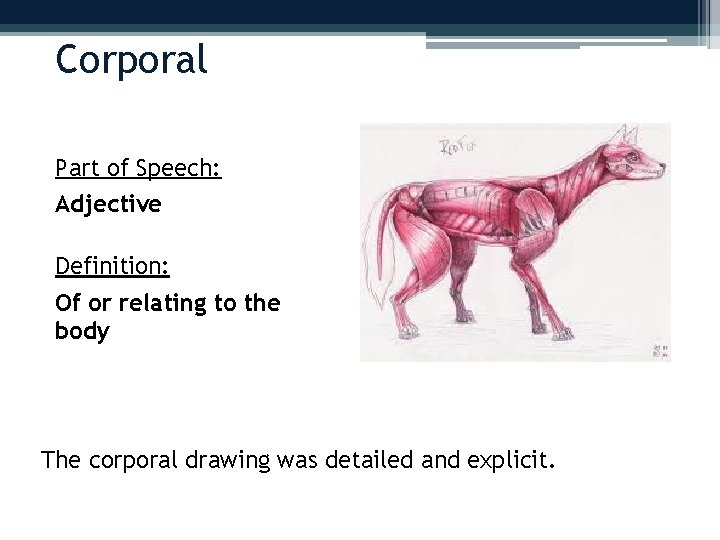 Corporal Part of Speech: Adjective Definition: Of or relating to the body The corporal