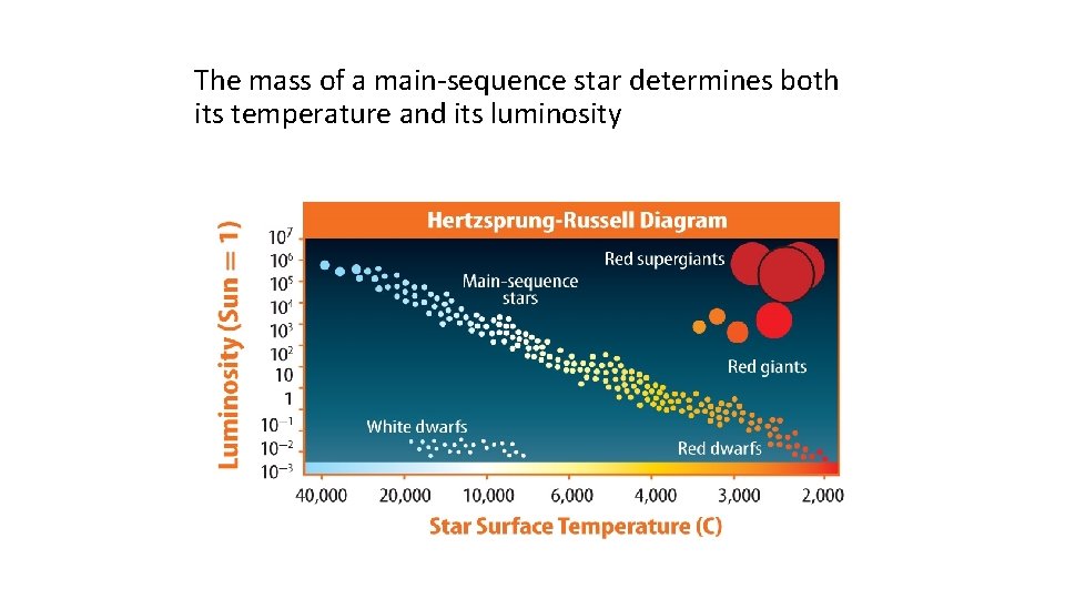 The mass of a main-sequence star determines both its temperature and its luminosity 