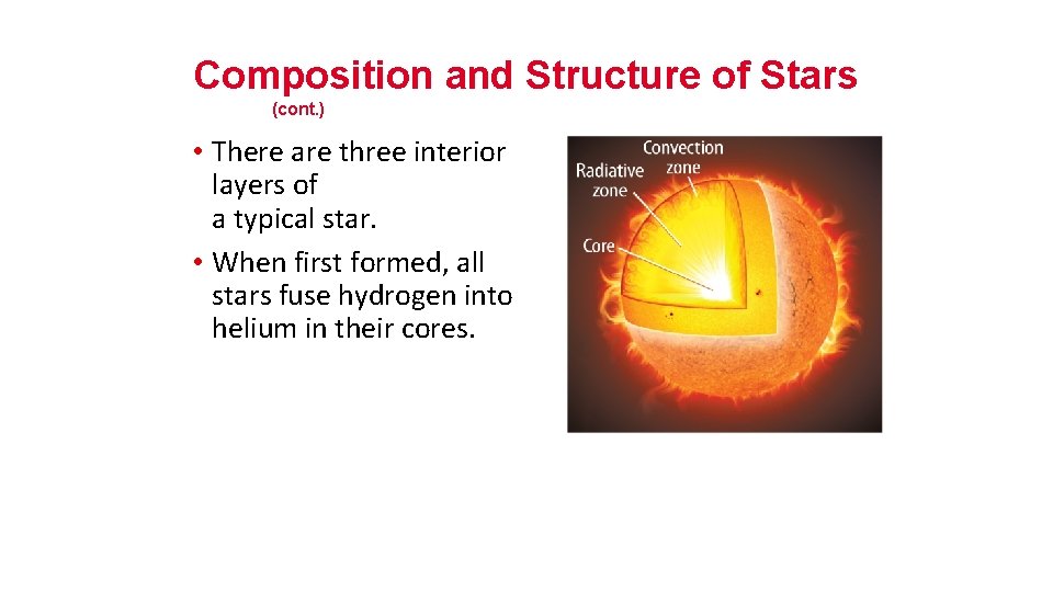 Composition and Structure of Stars (cont. ) • There are three interior layers of