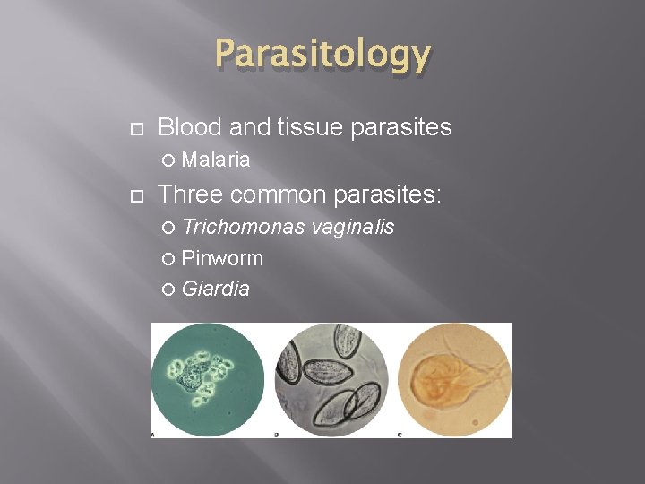 Pinworm ascariasis