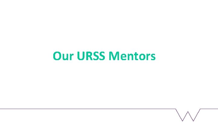 Our URSS Mentors 