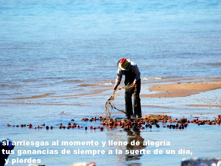 si arriesgas al momento y lleno de alegría tus ganancias de siempre a la si arriesgas al momento y lleno de alegría tus ganancias de siempre a la