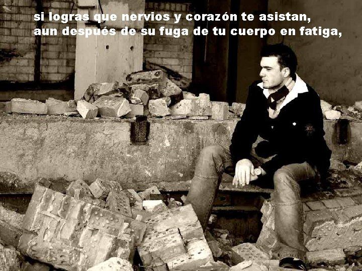 si logras que nervios y corazón te asistan, aun después de su fuga de si logras que nervios y corazón te asistan, aun después de su fuga de