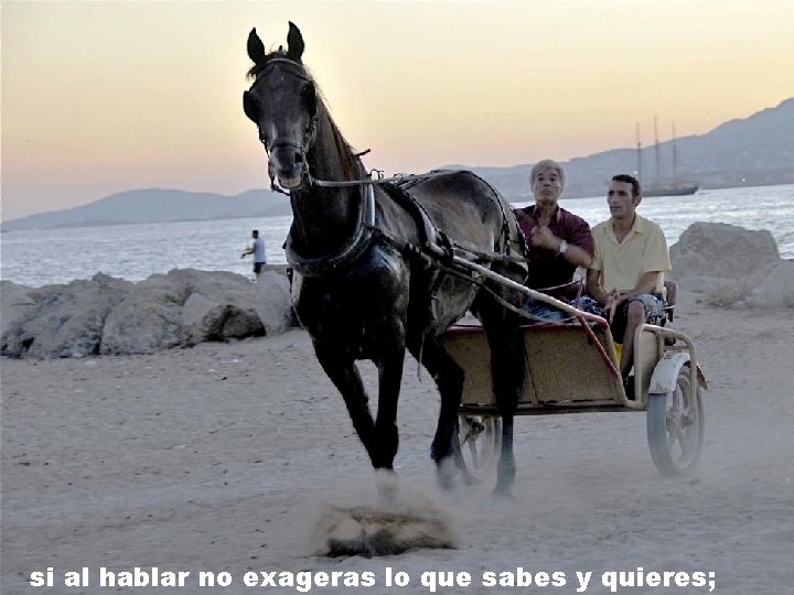 si al hablar no exageras lo que sabes y quieres; si al hablar no exageras lo que sabes y quieres;