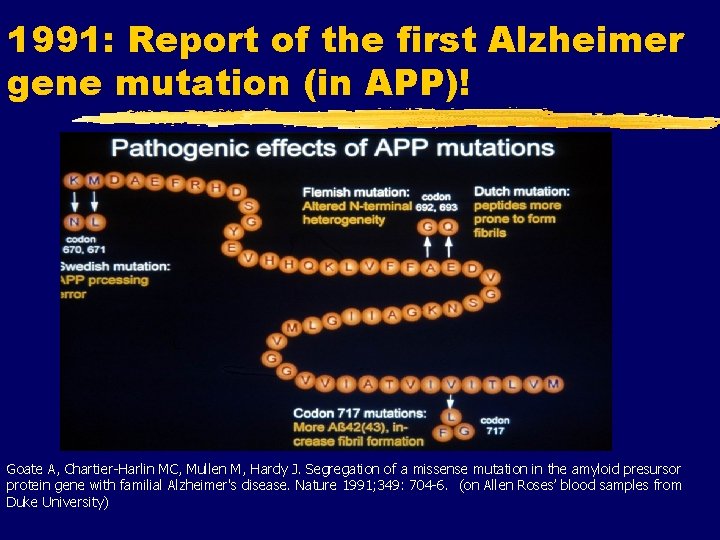 1991: Report of the first Alzheimer gene mutation (in APP)! Goate A, Chartier-Harlin MC,