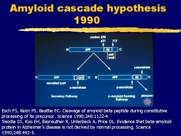 Amyloid cascade hypothesis 1990 Esch FS, Keim PS, Beattie EC. Cleavage of amyloid beta