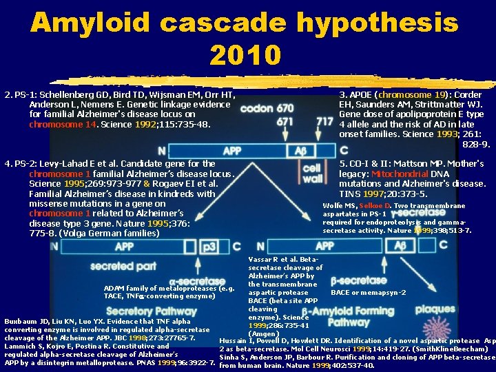 Amyloid cascade hypothesis 2010 2. PS-1: Schellenberg GD, Bird TD, Wijsman EM, Orr HT,