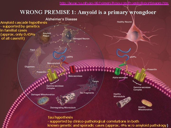 http: //www. nia. nih. gov/Alzheimers/Resources/Progress. Report. Images. htm WRONG PREMISE 1: Amyoid is a