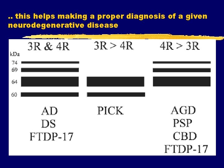 . . this helps making a proper diagnosis of a given neurodegenerative disease 