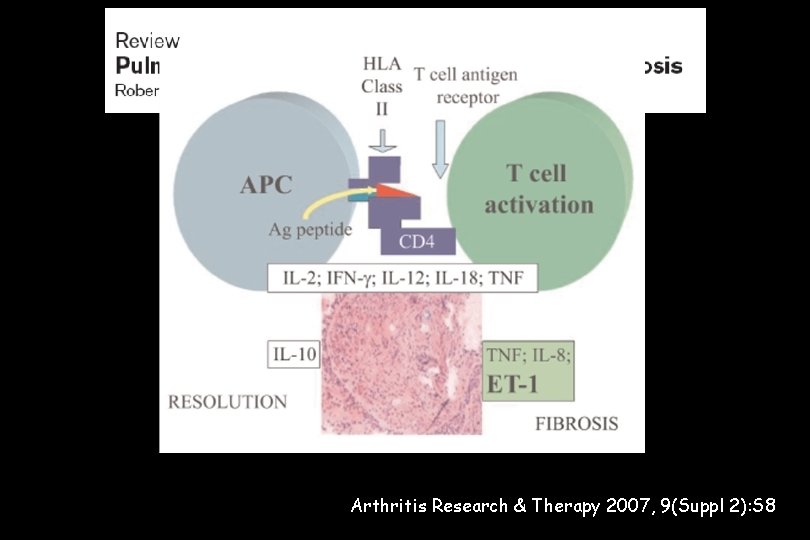 Arthritis Research & Therapy 2007, 9(Suppl 2): S 8 