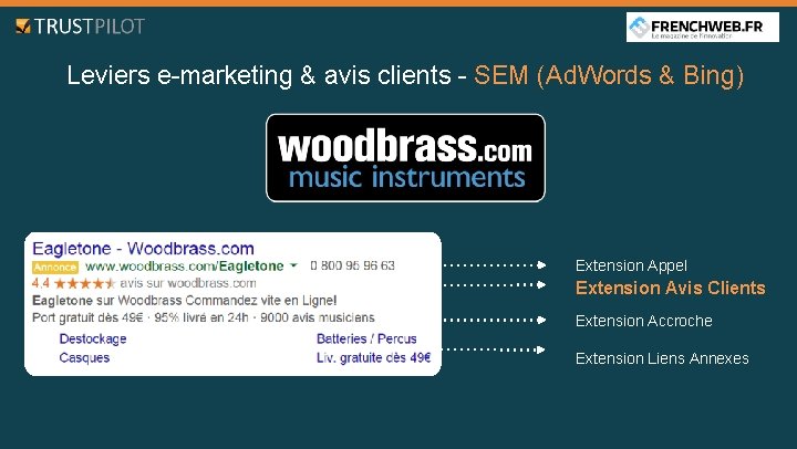 Leviers e-marketing & avis clients - SEM (Ad. Words & Bing) Extension Appel Extension