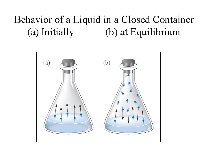 Behavior of a Liquid in a Closed Container (a) Initially (b) at Equilibrium 